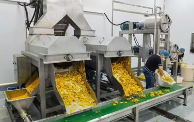 芒果生產(chǎn)線