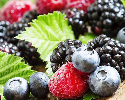 藍莓、樹莓、草莓飲料生產線